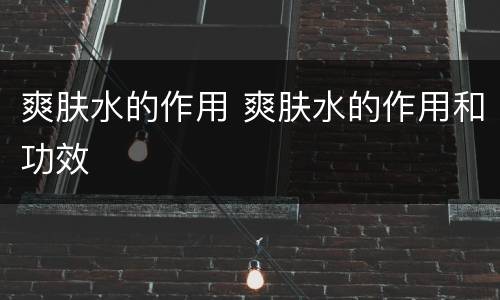 爽肤水的作用 爽肤水的作用和功效