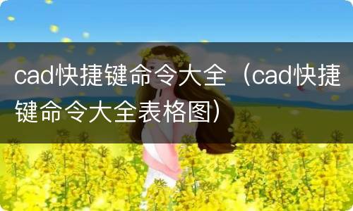 cad快捷键命令大全（cad快捷键命令大全表格图）