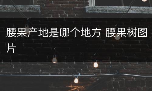 腰果产地是哪个地方 腰果树图片