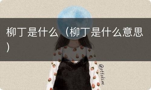 柳丁是什么（柳丁是什么意思）