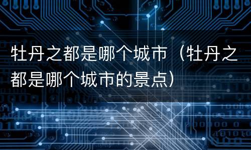 牡丹之都是哪个城市（牡丹之都是哪个城市的景点）