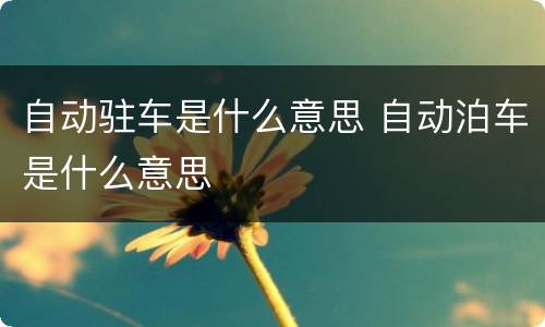 自动驻车是什么意思 自动泊车是什么意思