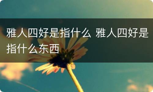雅人四好是指什么 雅人四好是指什么东西