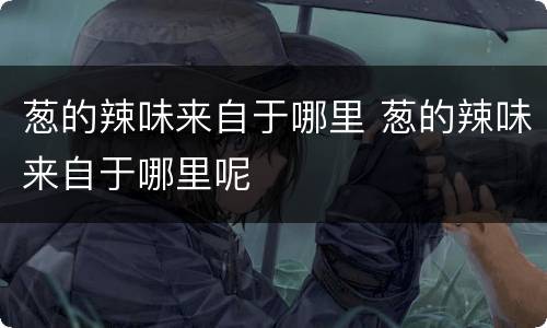 葱的辣味来自于哪里 葱的辣味来自于哪里呢