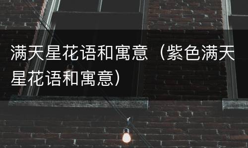满天星花语和寓意（紫色满天星花语和寓意）