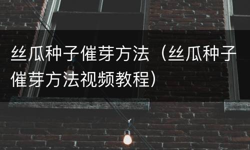 丝瓜种子催芽方法（丝瓜种子催芽方法视频教程）