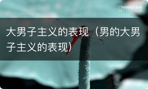大男子主义的表现（男的大男子主义的表现）