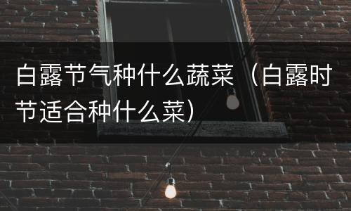 白露节气种什么蔬菜（白露时节适合种什么菜）