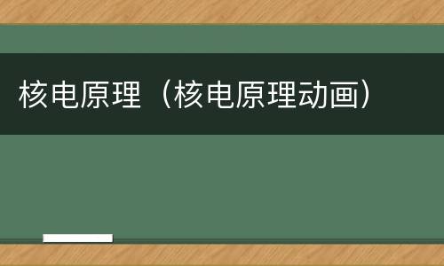 核电原理（核电原理动画）