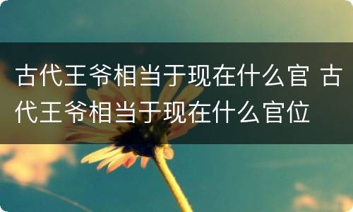 古代王爷相当于现在什么官 古代王爷相当于现在什么官位