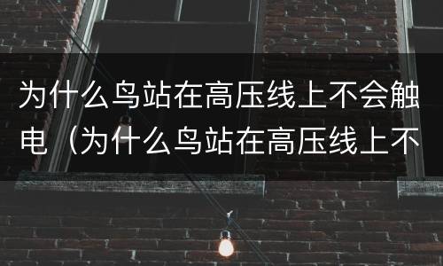 为什么鸟站在高压线上不会触电（为什么鸟站在高压线上不会触电?）