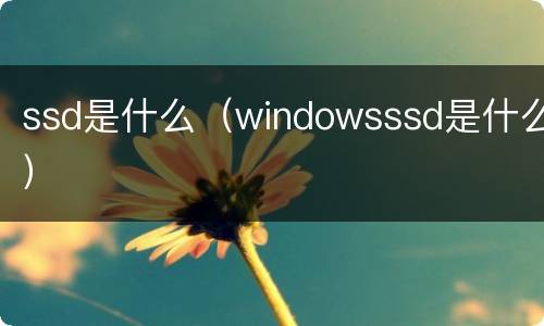 ssd是什么（windowsssd是什么）