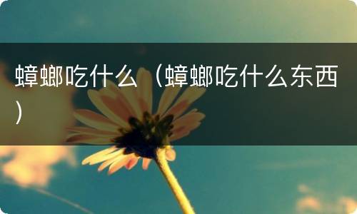 蟑螂吃什么（蟑螂吃什么东西）
