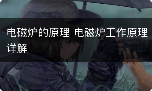 电磁炉的原理 电磁炉工作原理详解