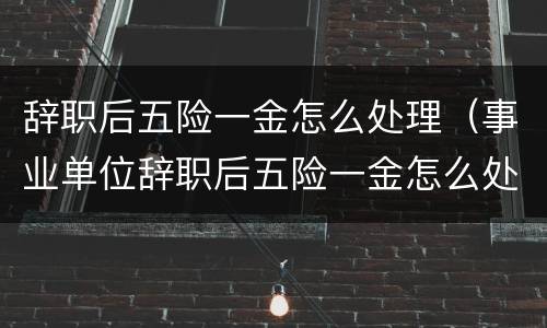 辞职后五险一金怎么处理（事业单位辞职后五险一金怎么处理）