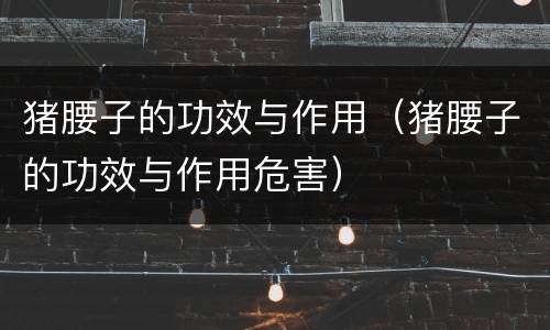 猪腰子的功效与作用（猪腰子的功效与作用危害）