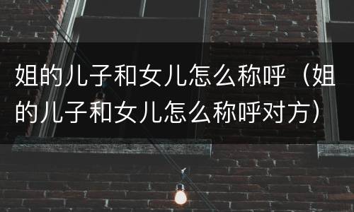姐的儿子和女儿怎么称呼（姐的儿子和女儿怎么称呼对方）