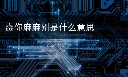 嬲你麻麻别是什么意思