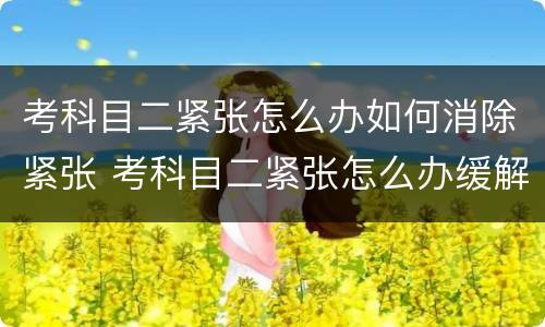 考科目二紧张怎么办如何消除紧张 考科目二紧张怎么办缓解紧张最快的方法