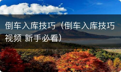 倒车入库技巧（倒车入库技巧视频 新手必看）