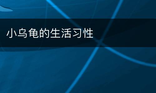 小乌龟的生活习性