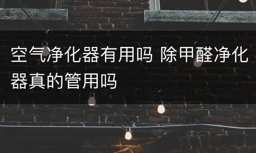 空气净化器有用吗 除甲醛净化器真的管用吗