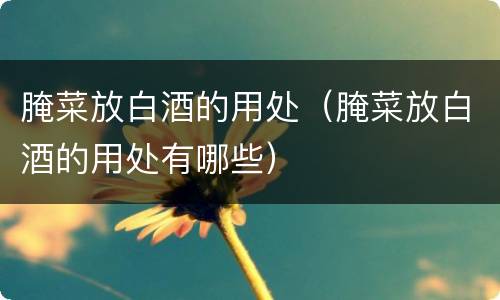 腌菜放白酒的用处（腌菜放白酒的用处有哪些）
