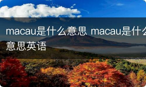 macau是什么意思 macau是什么意思英语
