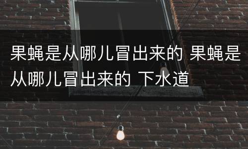 果蝇是从哪儿冒出来的 果蝇是从哪儿冒出来的 下水道