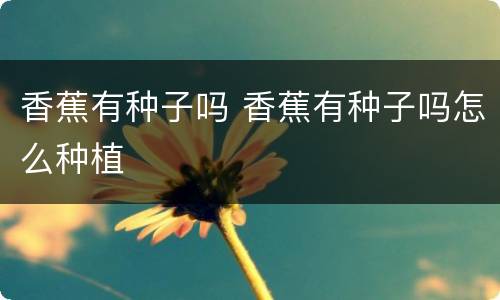 香蕉有种子吗 香蕉有种子吗怎么种植