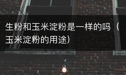 生粉和玉米淀粉是一样的吗（玉米淀粉的用途）