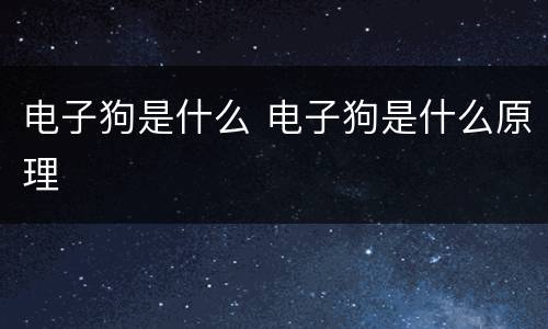 电子狗是什么 电子狗是什么原理