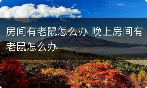 房间有老鼠怎么办 晚上房间有老鼠怎么办