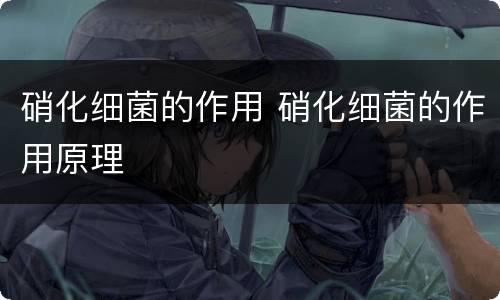 硝化细菌的作用 硝化细菌的作用原理