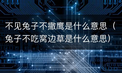 不见兔子不撒鹰是什么意思（兔子不吃窝边草是什么意思）