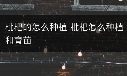 枇杷的怎么种植 枇杷怎么种植和育苗