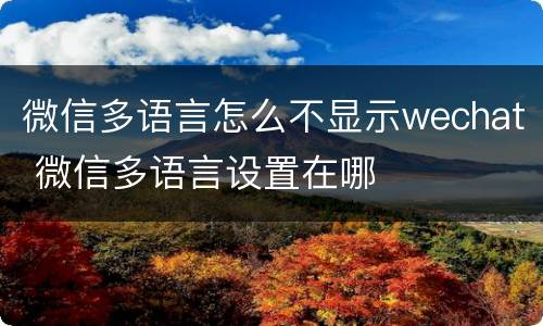 微信多语言怎么不显示wechat 微信多语言设置在哪