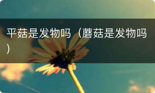 平菇是发物吗（蘑菇是发物吗）