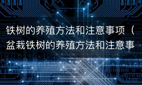 铁树的养殖方法和注意事项（盆栽铁树的养殖方法和注意事项）