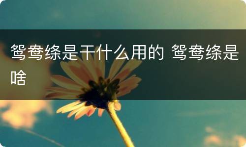 鸳鸯绦是干什么用的 鸳鸯绦是啥