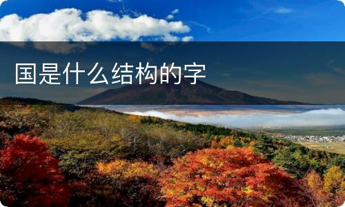 国是什么结构的字