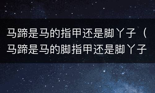 马蹄是马的指甲还是脚丫子（马蹄是马的脚指甲还是脚丫子）