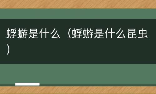 蜉蝣是什么（蜉蝣是什么昆虫）