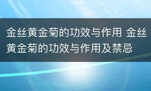 金丝黄金菊的功效与作用 金丝黄金菊的功效与作用及禁忌