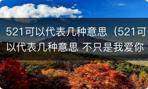 521可以代表几种意思（521可以代表几种意思 不只是我爱你这么简单情话这么撩）