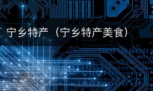 宁乡特产（宁乡特产美食）