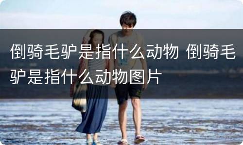 倒骑毛驴是指什么动物 倒骑毛驴是指什么动物图片