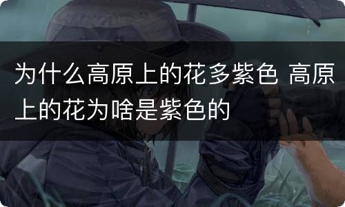 为什么高原上的花多紫色 高原上的花为啥是紫色的