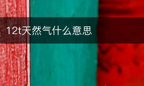 12t天然气什么意思