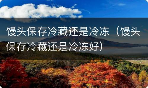 馒头保存冷藏还是冷冻（馒头保存冷藏还是冷冻好）